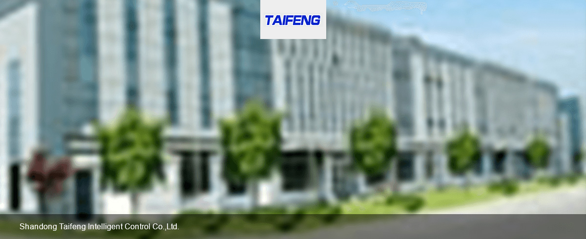 Shandong Taifeng Intelligent Control